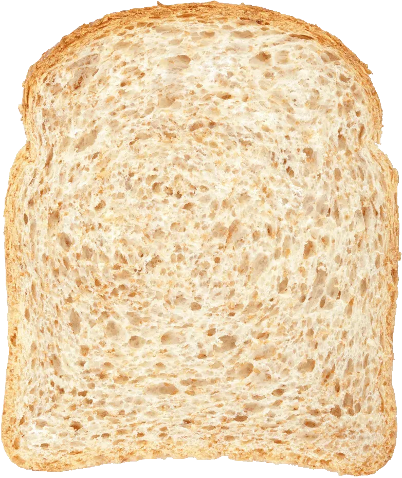 Rebanada de pan Panrico